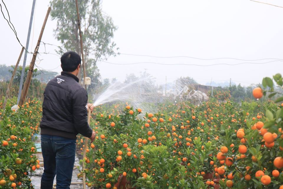 05699856a_anh11.jpg