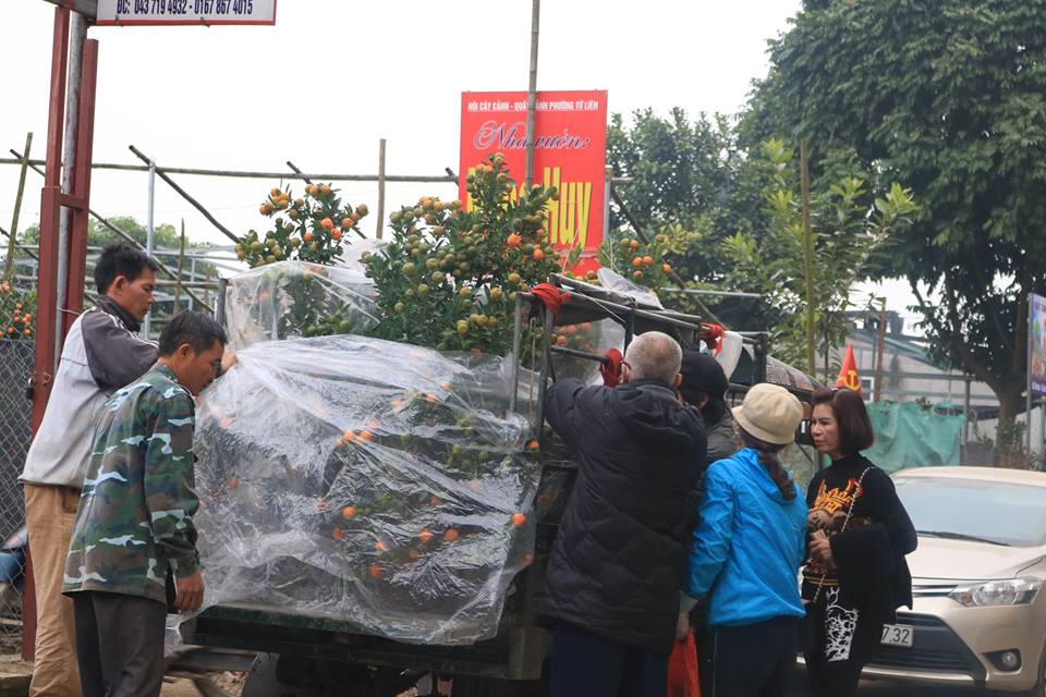 d91341604_anh4.jpg