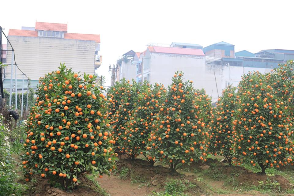 d91341604_anh5.jpg