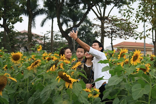 063382f26_anh6.jpg
