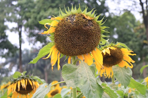 0d91f623d_anh11.jpg