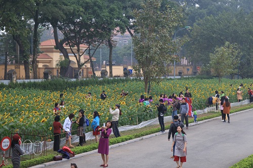 ff4d6e6a0_anh1.jpg