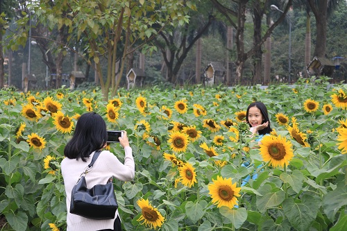 ff4d6e6a0_anh2.jpg