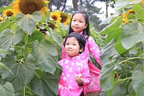 ff4d6e6a0_anh5.jpg