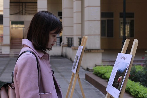 c2ccda723_anh3.jpg