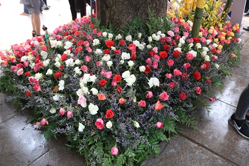 baa04988d_i_7476.jpg