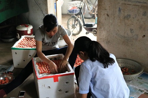 72f95d18b_anh_2.jpg