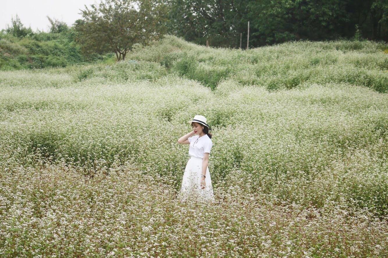 20f6d9c31_anh_6_1.jpg