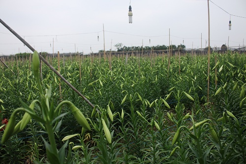 db14b0825_anh_1.jpg