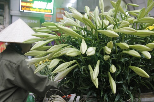 db14b0825_anh_4.jpg