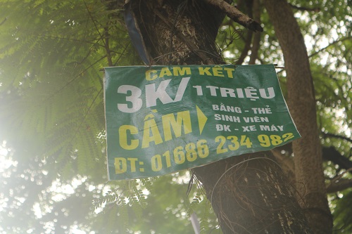 95838524b_i_2882.jpg