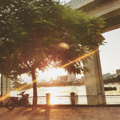 c3cf81033_hoang_cau.png