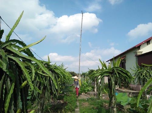 e79dd7241_2.jpg