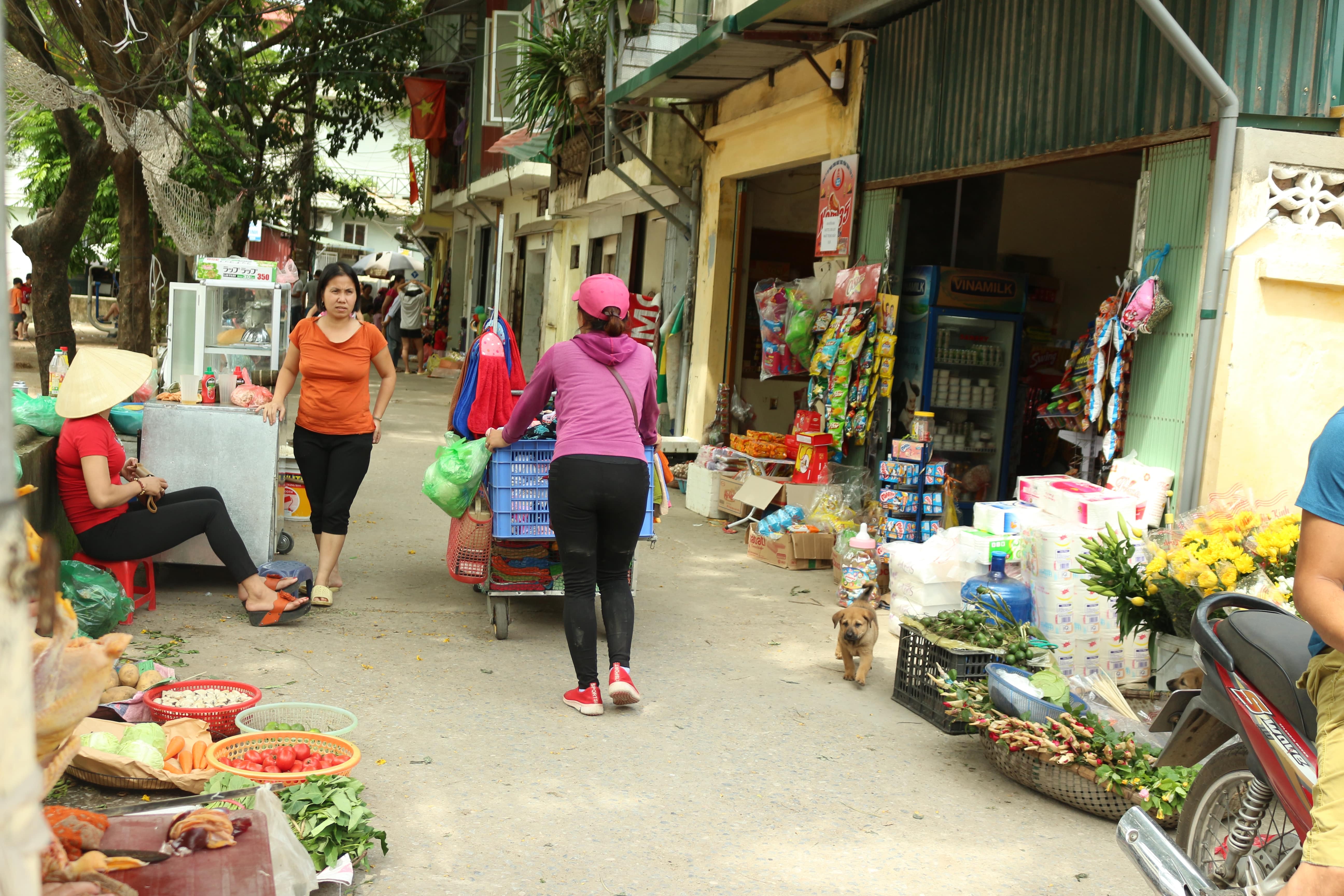7e840656c_lap_cho_giua_dong_4.jpg