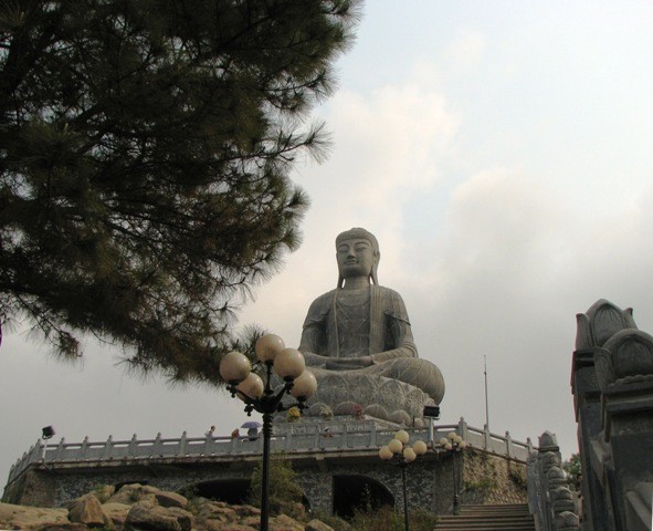 506e242f0_p7.jpg