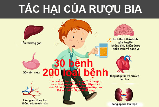 87b5c6398_bia.jpg