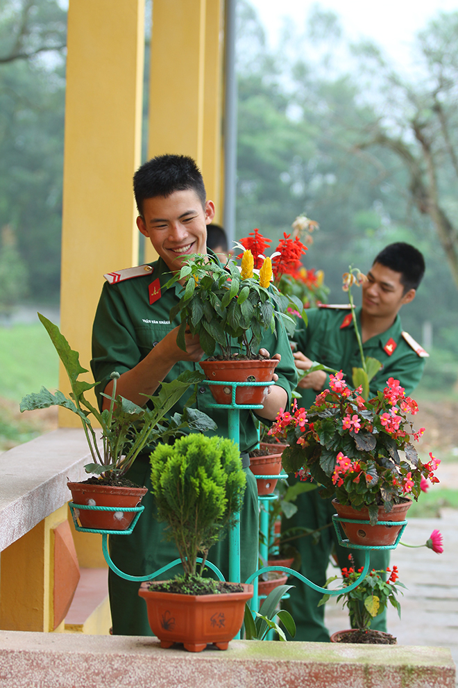 4e24bd85c_cham_soc_hoa.jpg