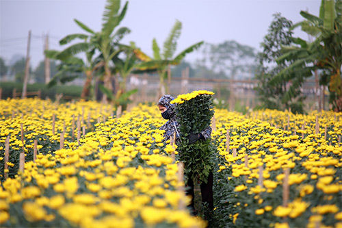 3b9137e34_anh_3.jpg