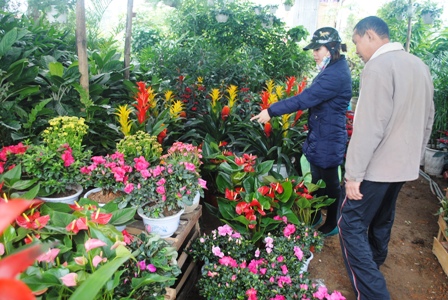 3b9137e34_anh_4.jpg