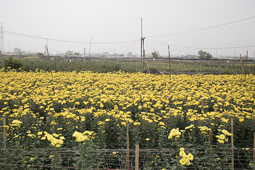 e5c76d53d_2.jpg