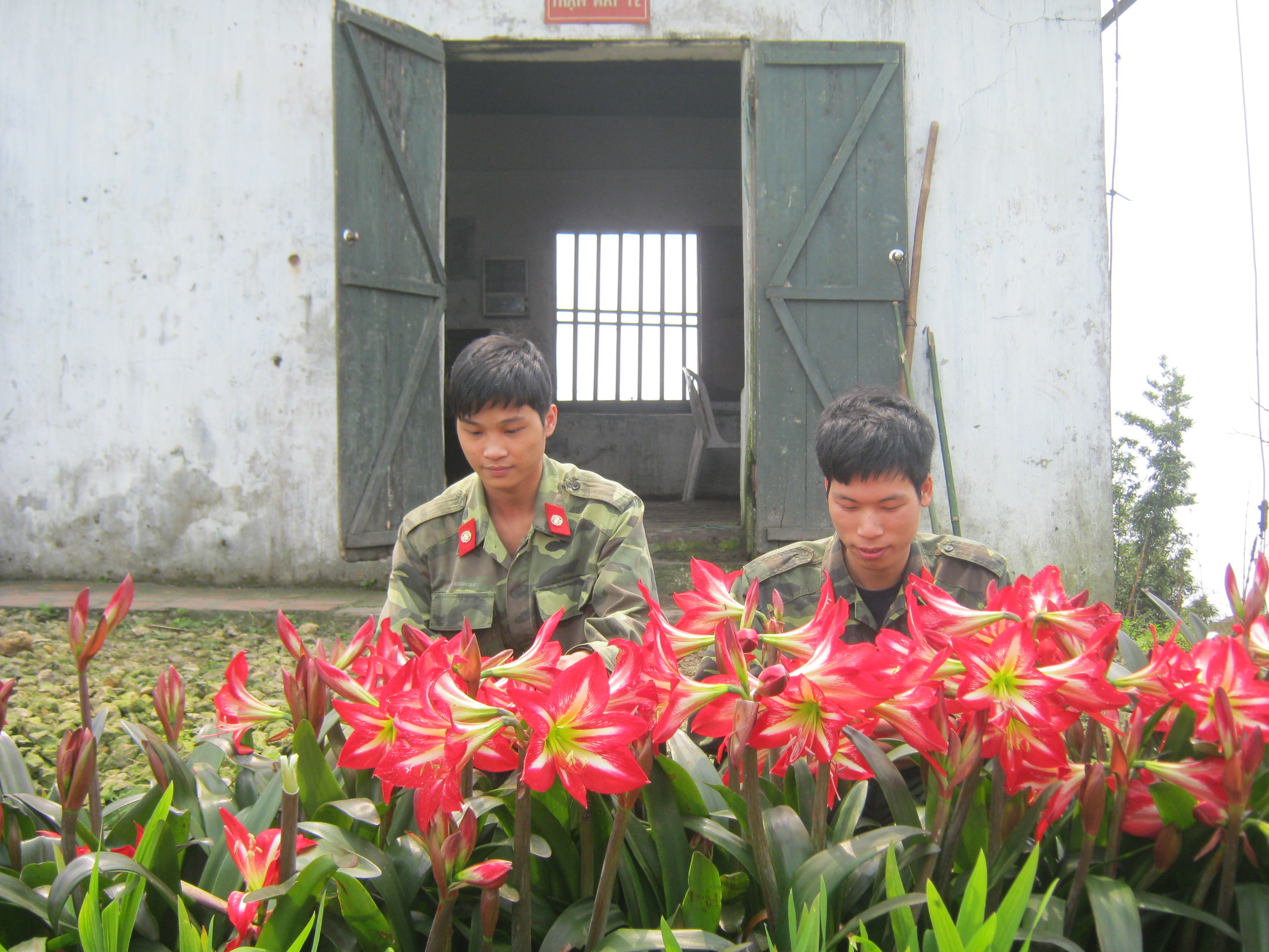 a1296b292_uan_khu_1_cham_soc_canh_quan_moi_truong_don_vi.jpg