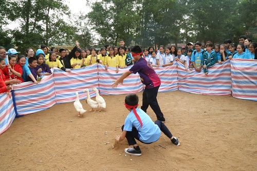 aabe65a8d_12.jpg