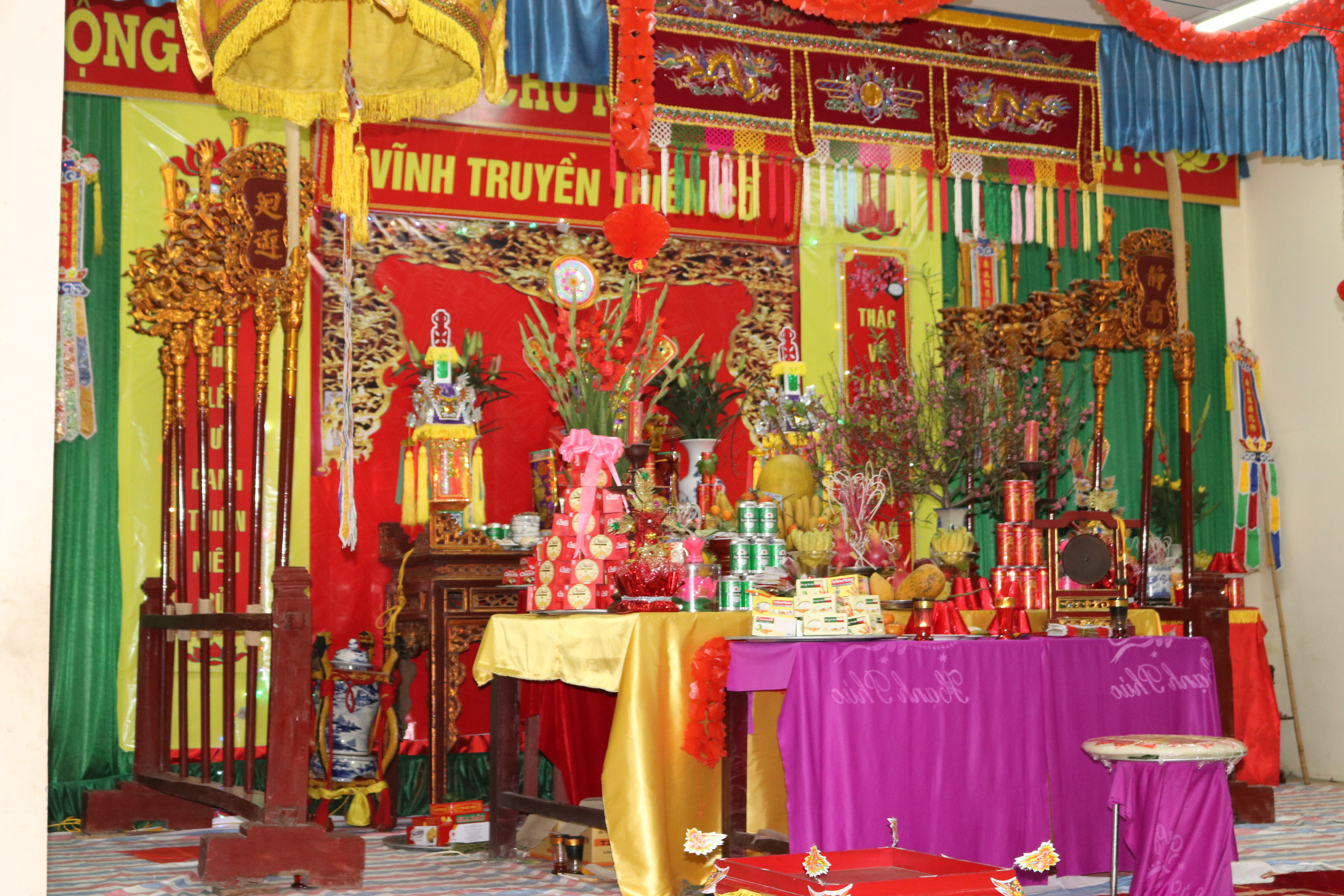 52c931103_anh_2_1.jpg