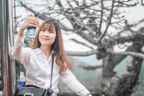 b7c7c4b0d_anh_15.jpg