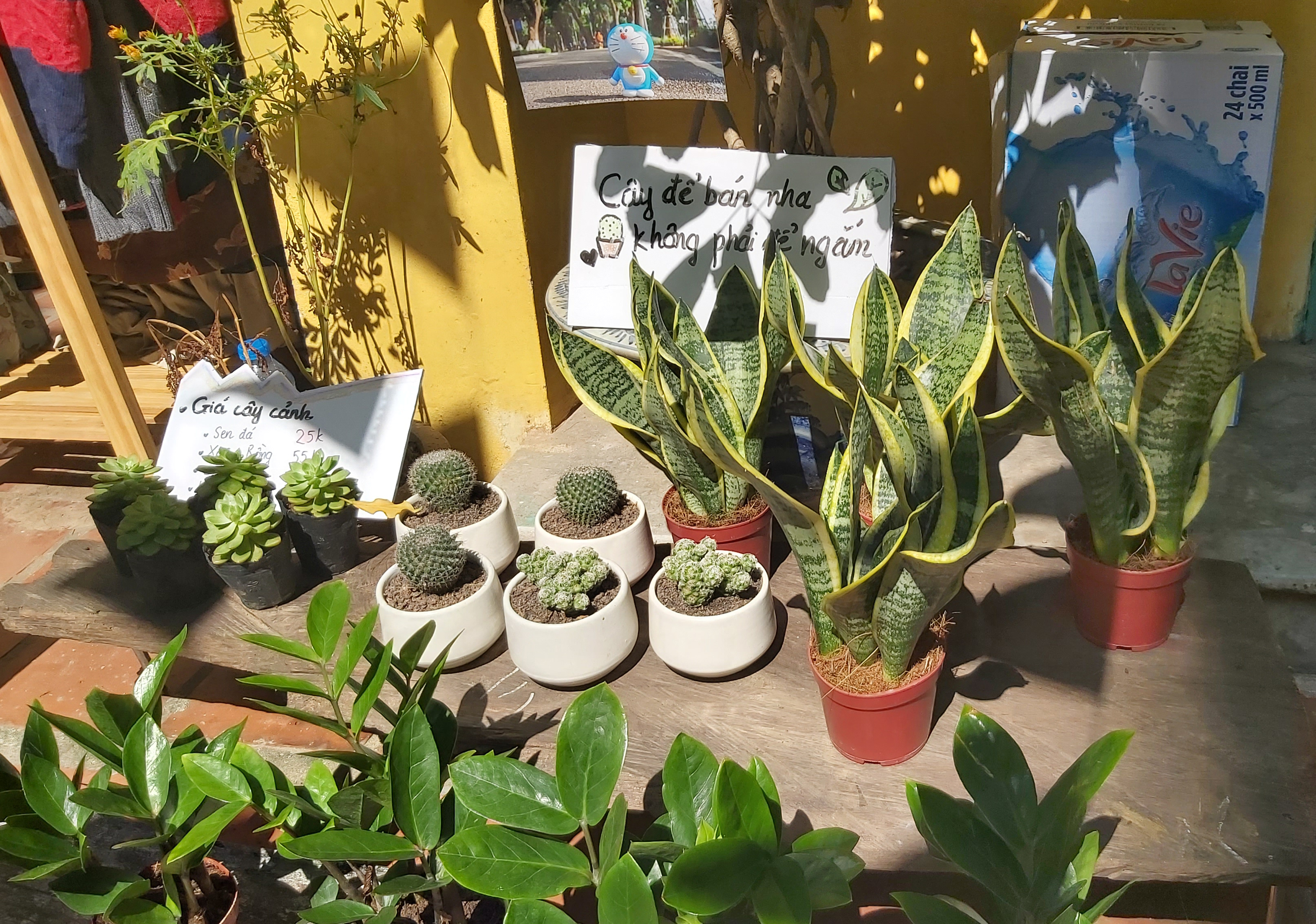 ab1ddc9b6_20191019_101816.jpg