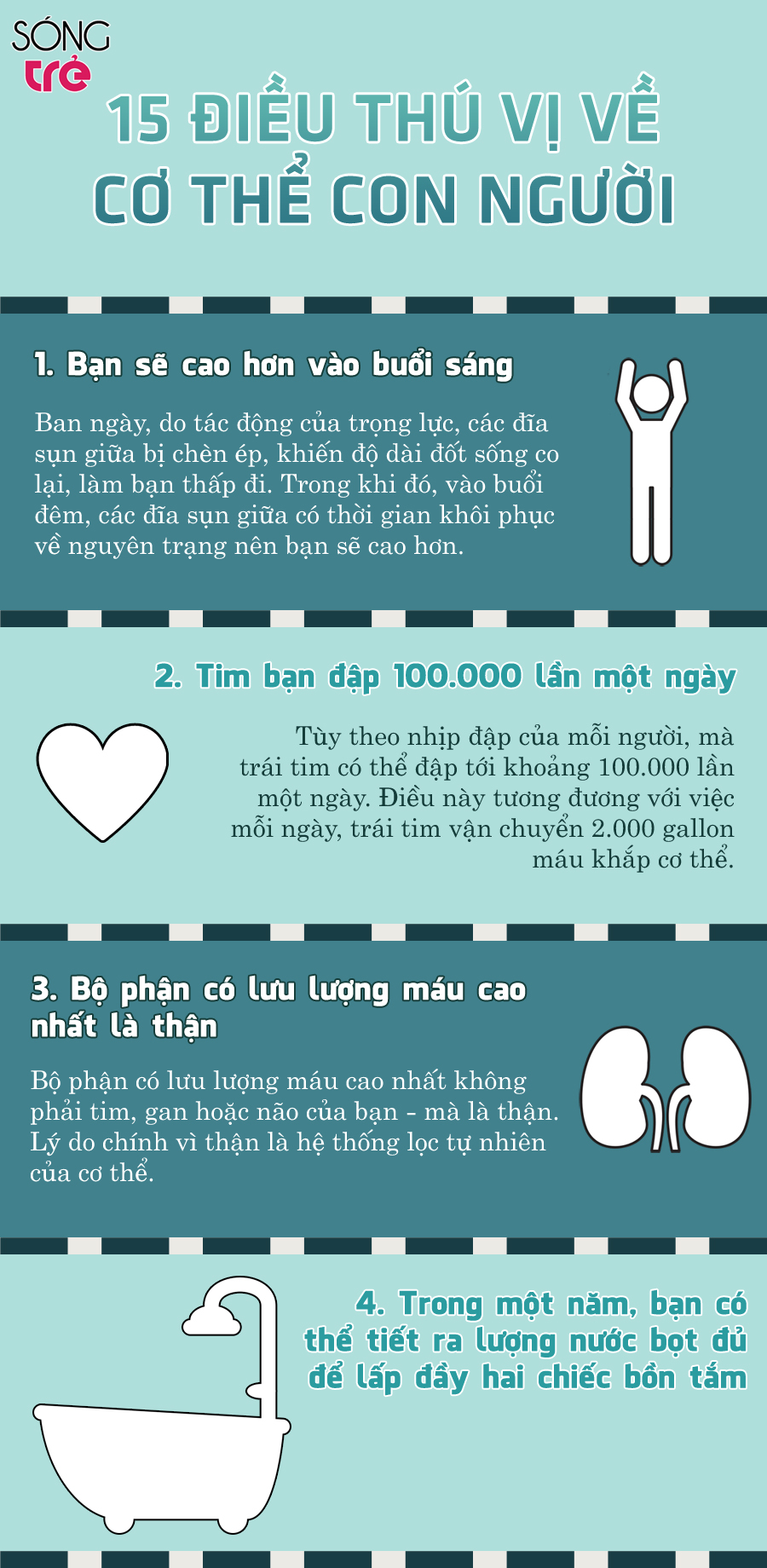 b1d991bd5_humanbody.jpg