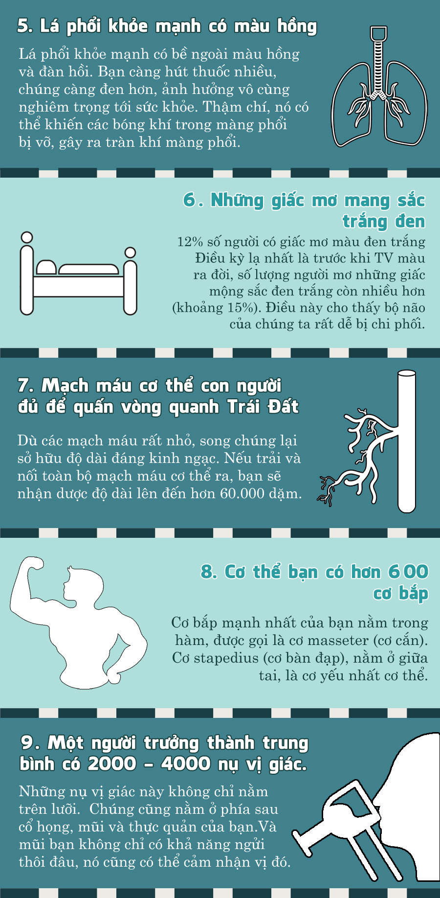b1d991bd5_humanbody2.jpg