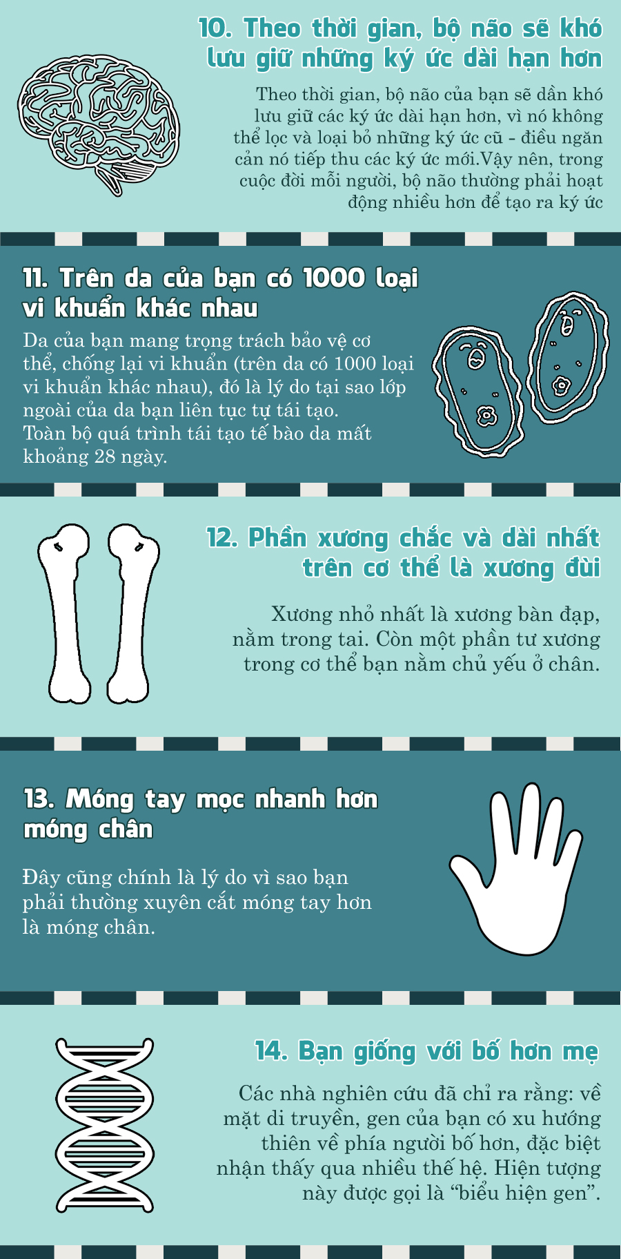 b1d991bd5_humanbody3.jpg