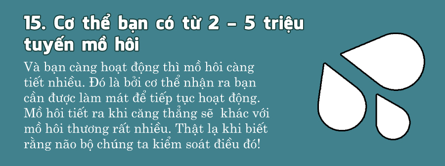 b1d991bd5_humanbody4.jpg