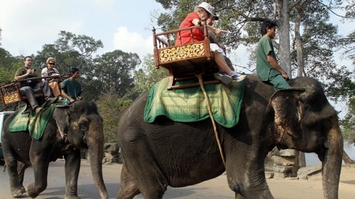2ec9e6034__dam_assets_191118105720angkorwatelephantrides.jpg