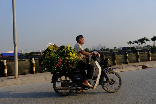 95c0dd005_anh_4.jpg