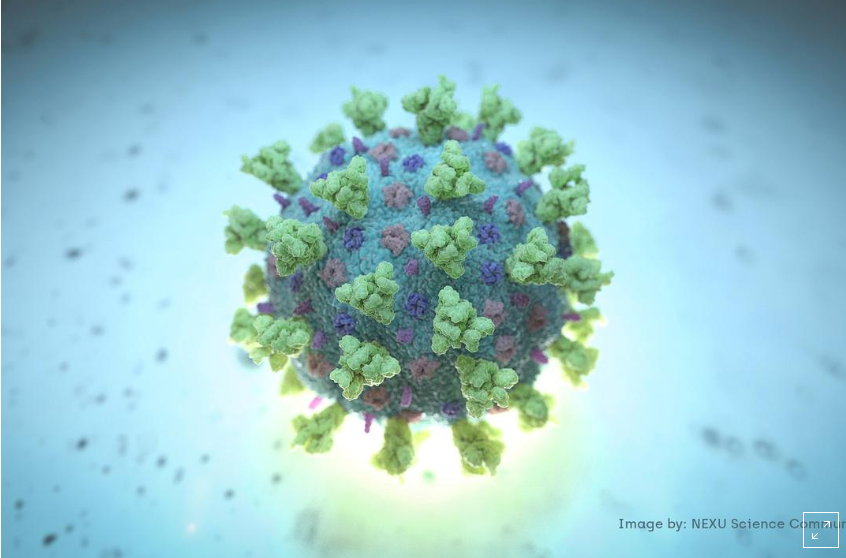 e2029d107_virus.png
