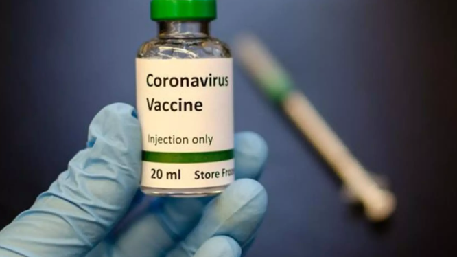 c73bfe00e_204_104851_880403_vacxincoronavirus.max800x800.png