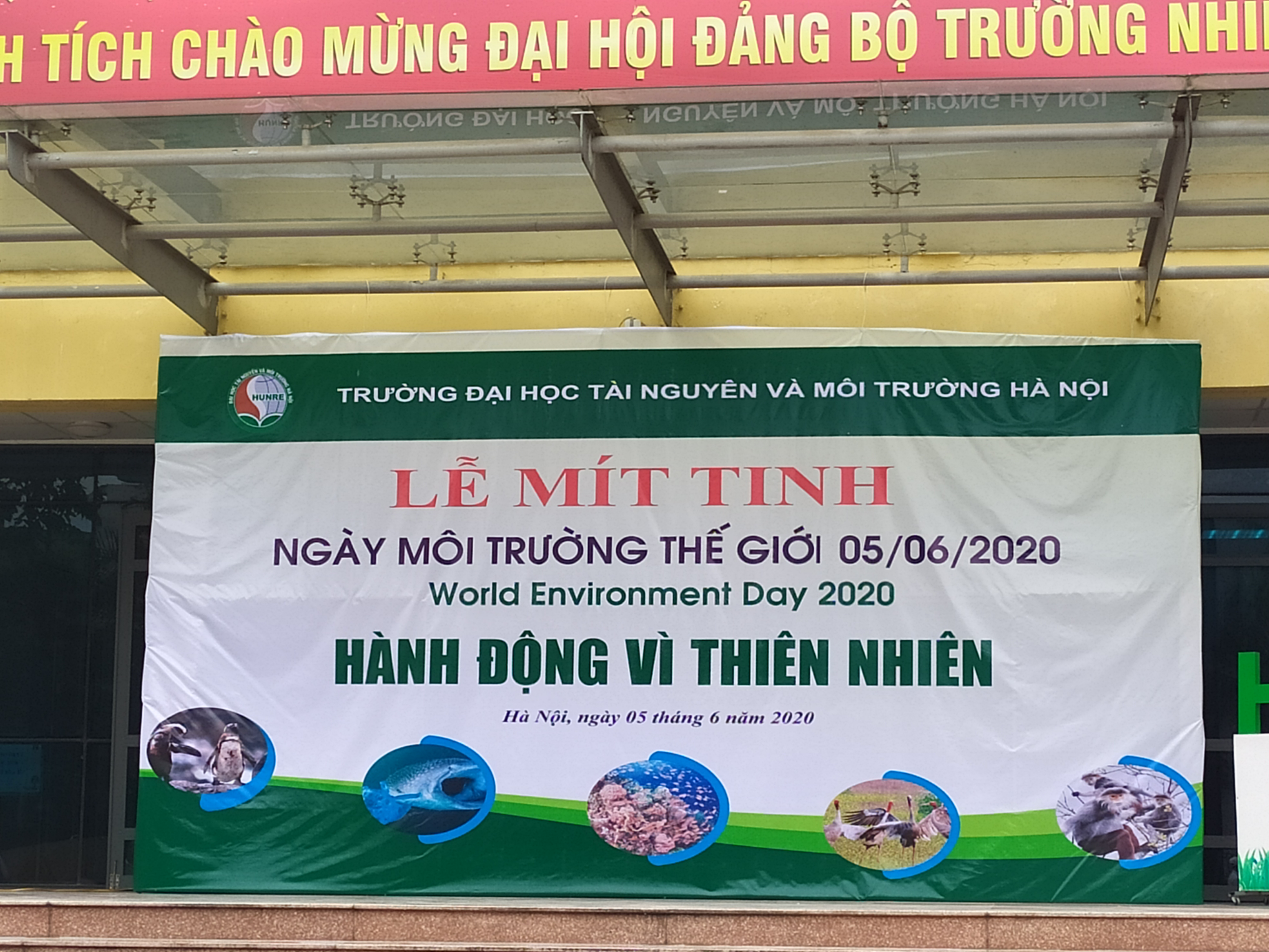 73101d959_anh_1.jpg