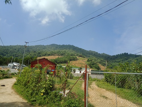e1e685169_anh_2.jpg