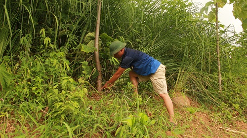 e1e685169_anh_4.jpg