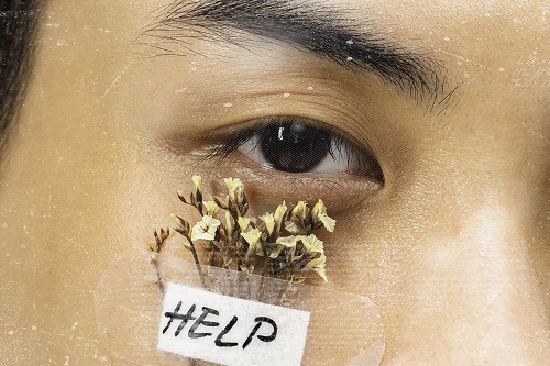 833128ee9_cover.jpg