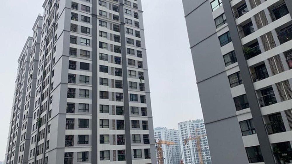 23310ef97_dongdat_ydea.jpg